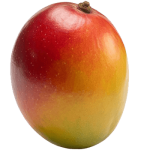 MANGO-MOODS_dried-willard-mango